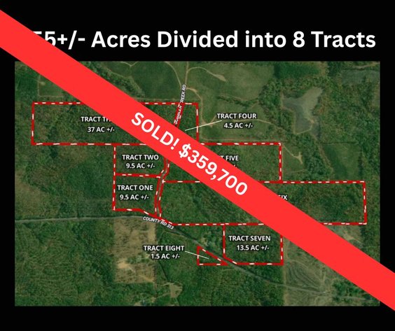 Image for Court Ordered Auction - Unrestricted 155+/- Acres Divided into 8 Tracts