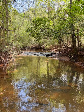 Image for Wedowee Creek Farm | 40+/- Acres Divided in 3 Tracts | 1000 +/-ft Creek Frontage | Turn-Key Homestead
