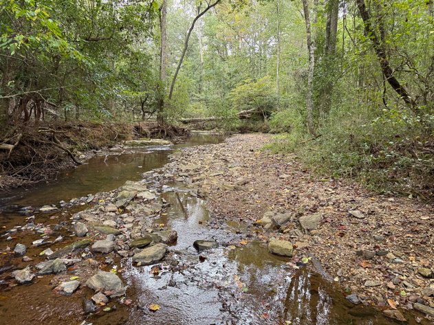 Image for Wedowee Creek Farm | 40+/- Acres Divided in 3 Tracts | 1000 +/-ft Creek Frontage | Turn-Key Homestead