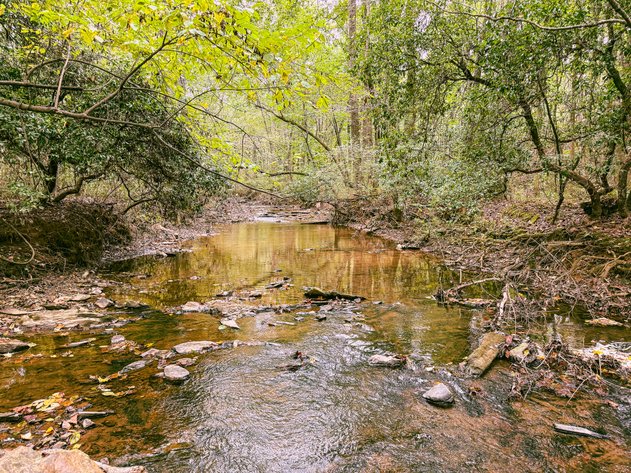 Image for Wedowee Creek Farm | 40+/- Acres Divided in 3 Tracts | 1000 +/-ft Creek Frontage | Turn-Key Homestead