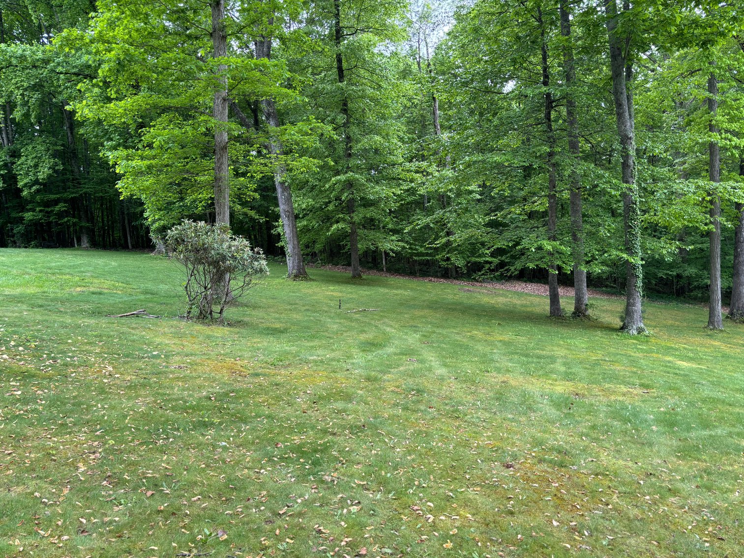 Image for 9436 REEDY CREEK ROAD  BRISTOL, VA 24202
