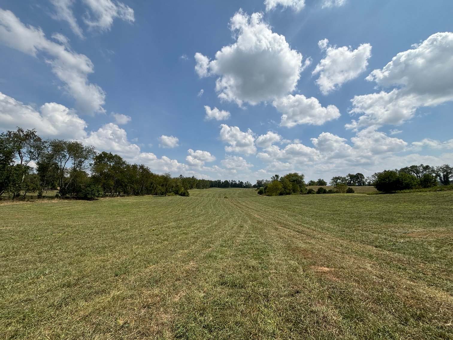Image for CEDAR CREEK ROAD  MEADOWVIEW, VA 24361