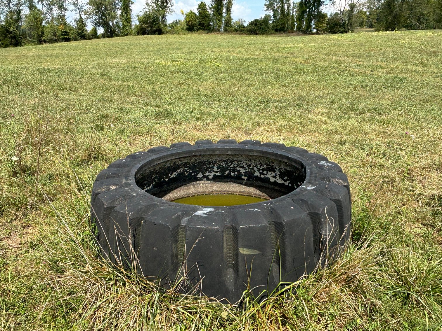 Image for CEDAR CREEK ROAD  MEADOWVIEW, VA 24361