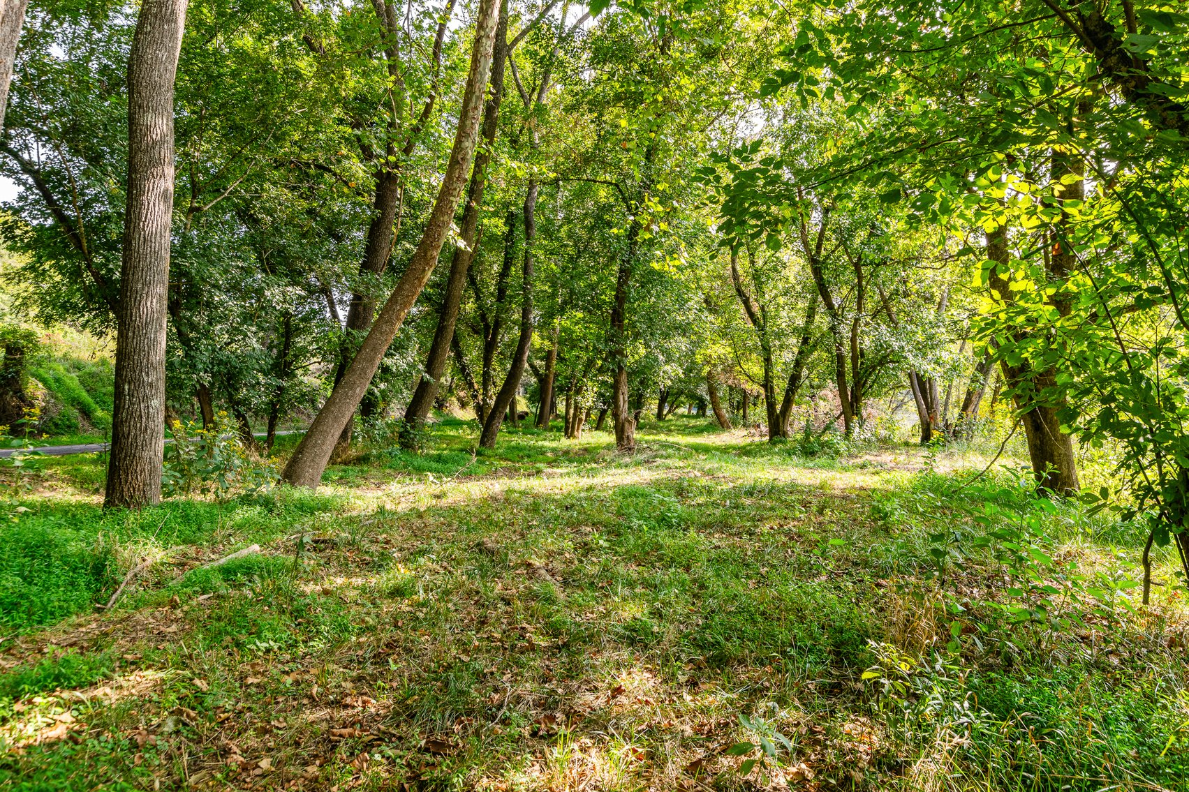 Image for River Property 4535 Clarks Ferry Rd, Draper Va 24324