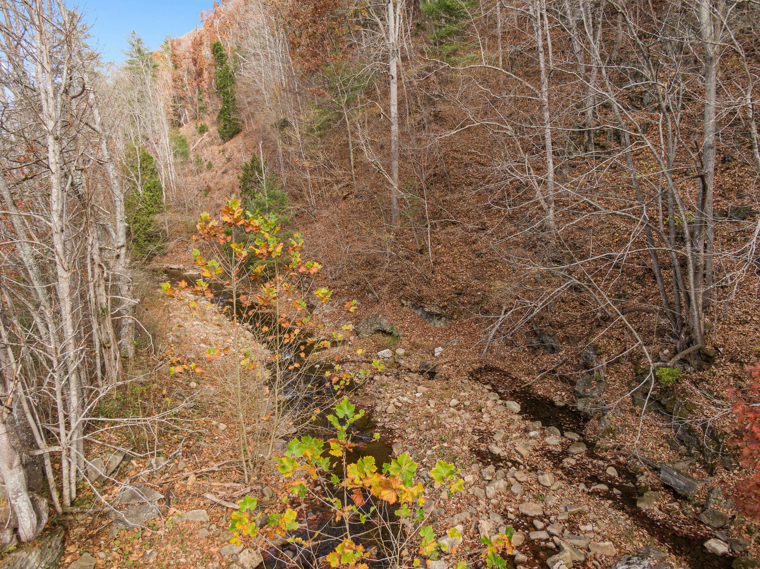 Image for 2717 Max Creek Road Hiwassee, Va. 24347