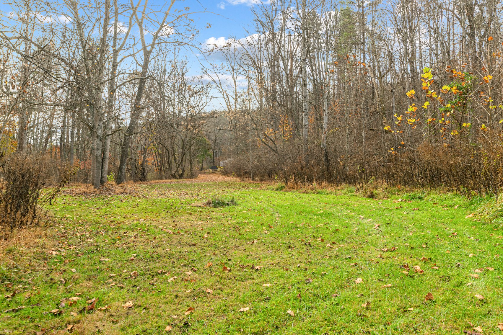 Image for 2717 Max Creek Road Hiwassee, Va. 24347