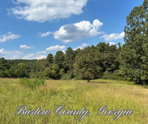 Image for LIVE AUCTION - 448 Big Oak Tree Road, Adairsville, Georgia 
