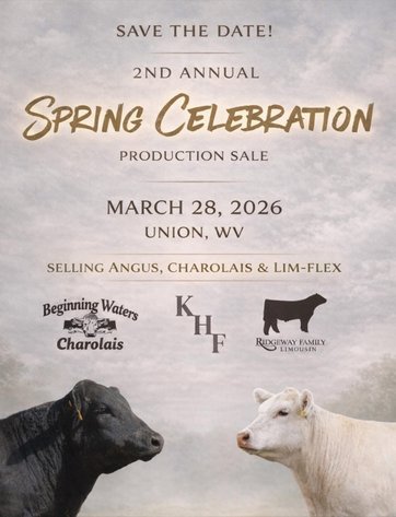Image for 2nd Annual Spring Celebration Production Sale