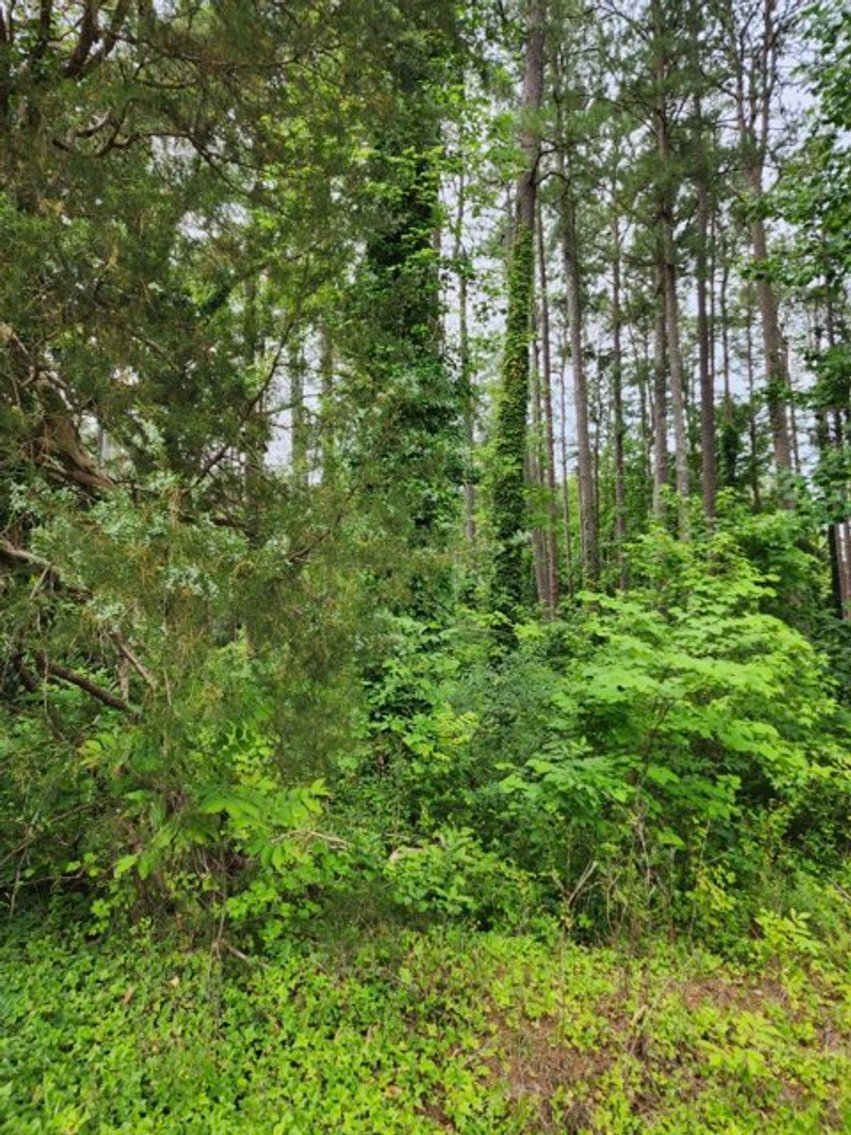 Image for Sold!!! $103,620 Real Estate Auction Lawrenceville, Va