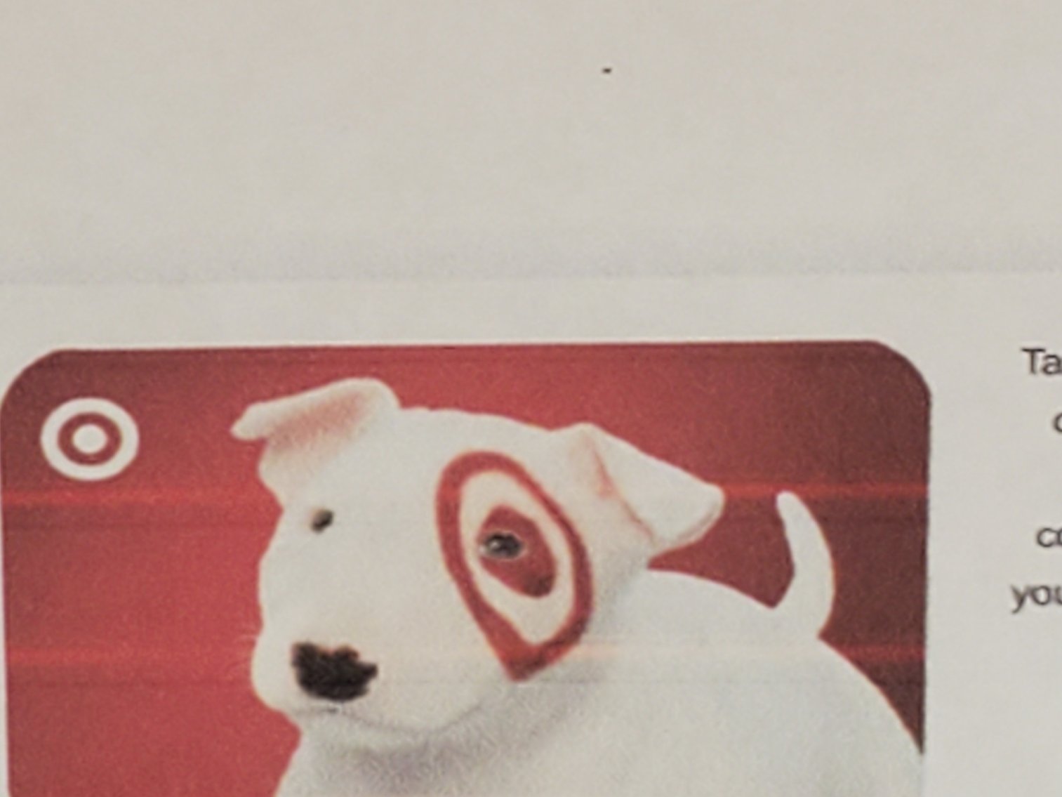 Image for Over $5,500 Raised! Chesterfield County Fair Scholarship Auction