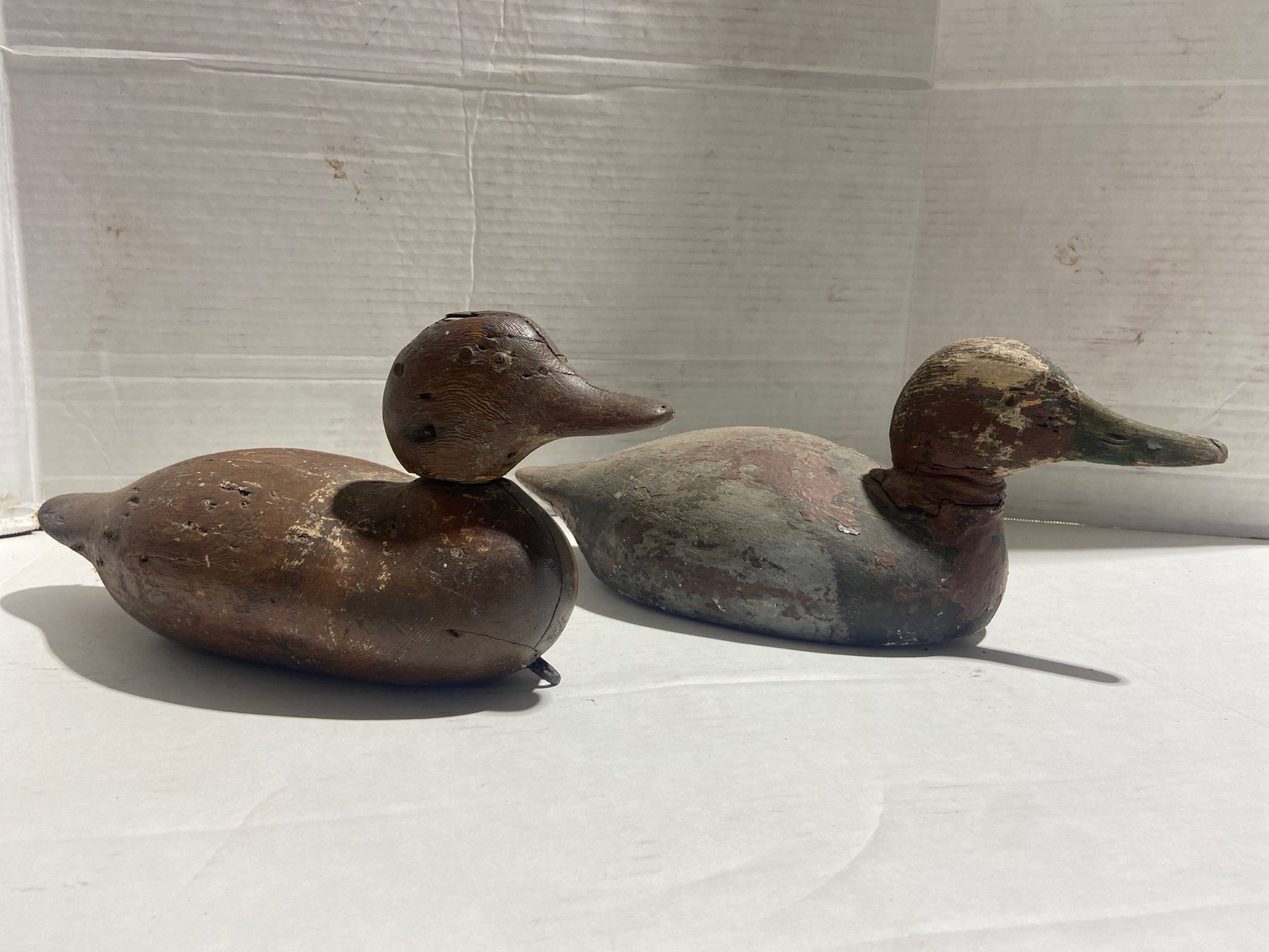 Image for New Year's Day LIVE Auction