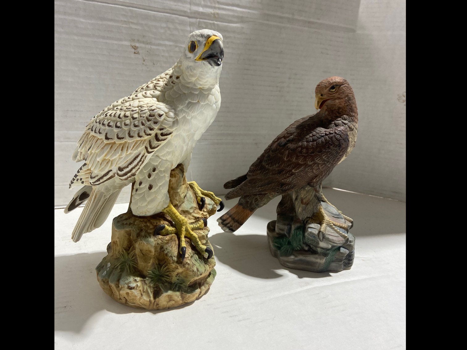 Image for New Year's Day LIVE Auction