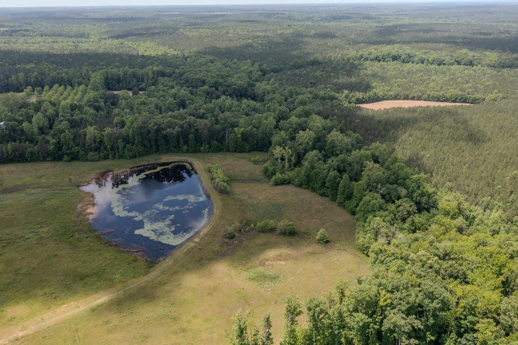 Image for SOLD: $525,000 — Pre-Auction Success for Amelia County Country Home