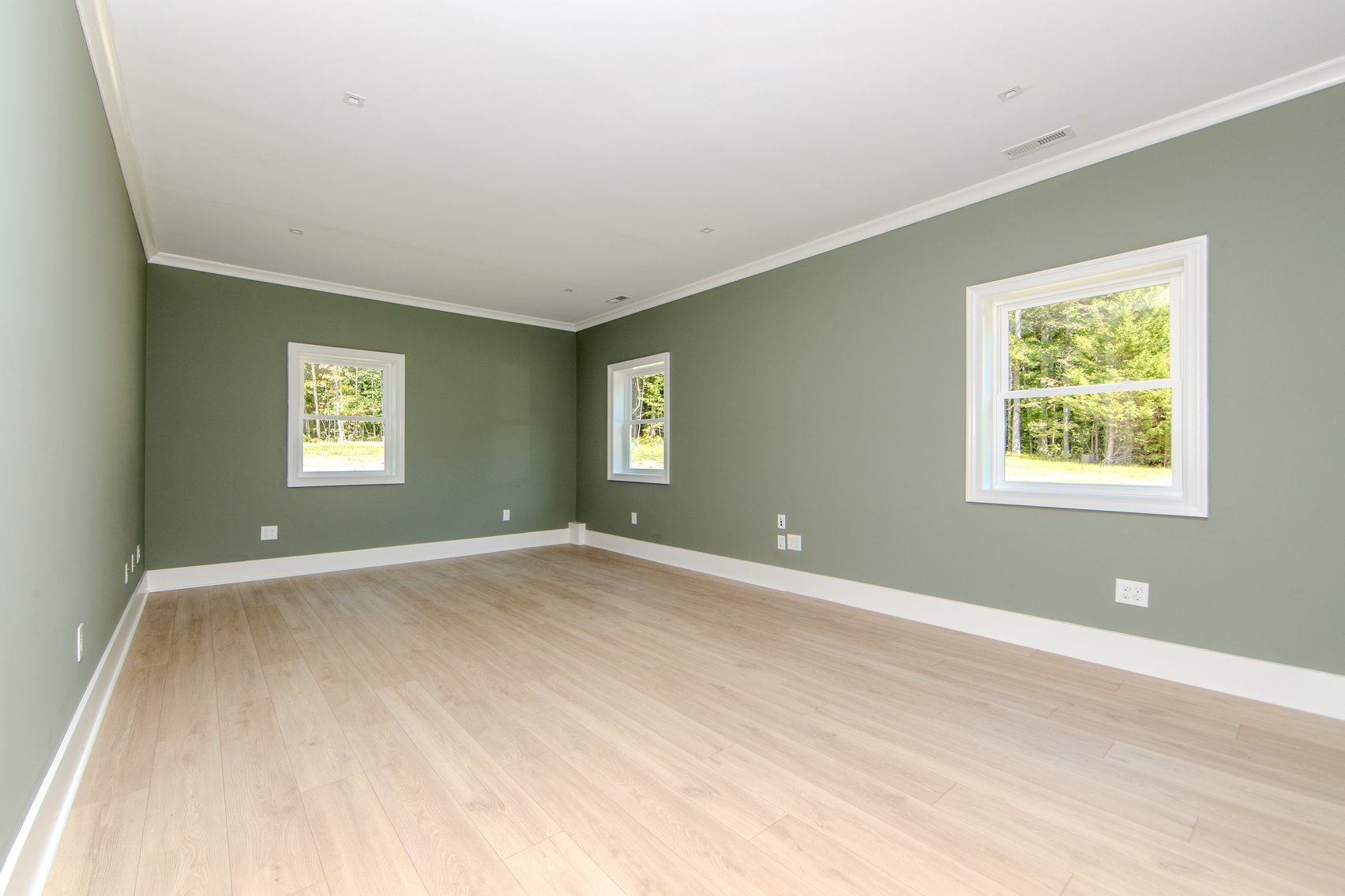 Image for SOLD: $1,012,000 — Strategic Pre-Auction Success in Powhatan, VA