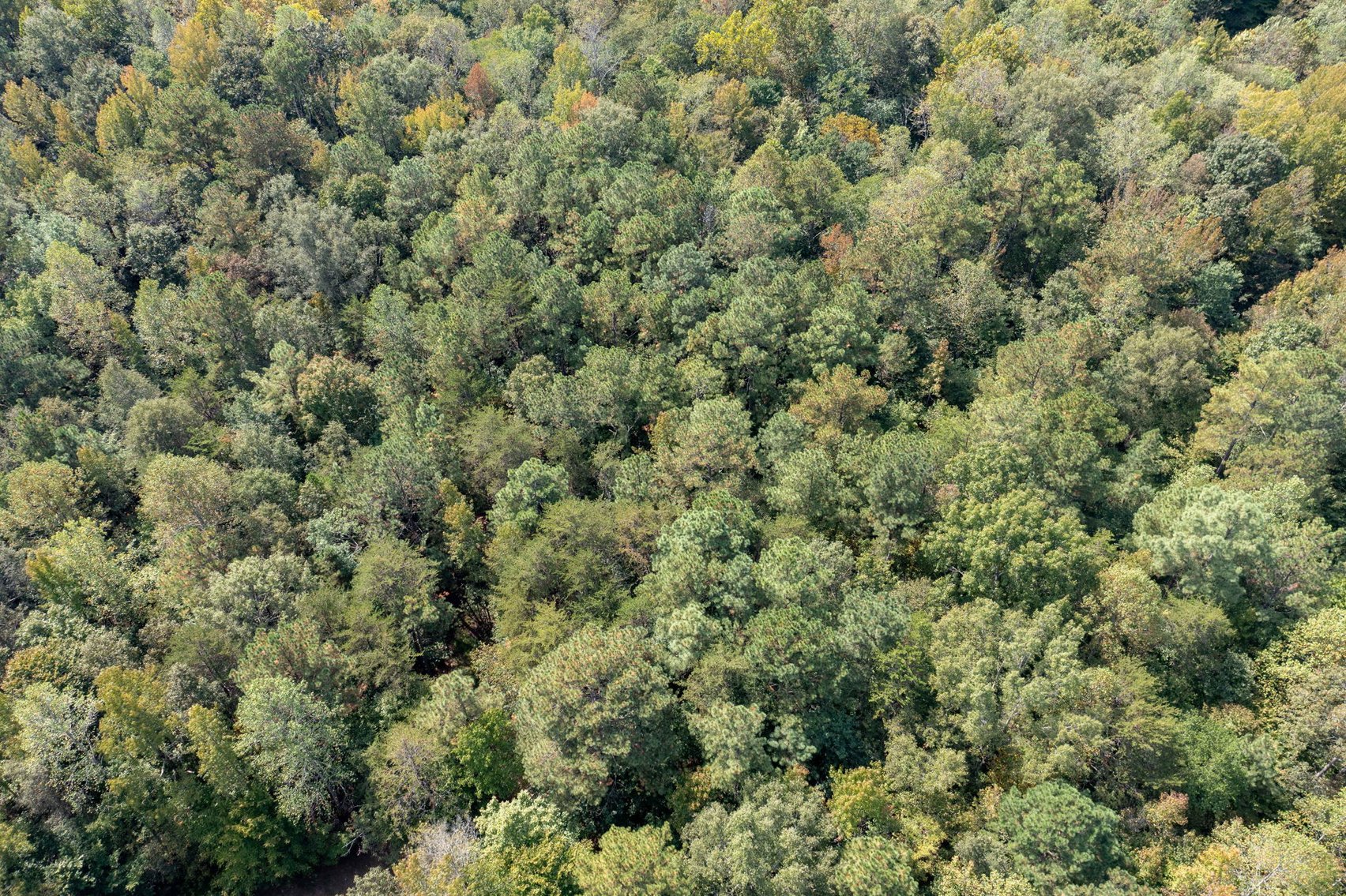 Image for SOLD: $330,000 — 32% Increase Over 2023 Purchase Price!