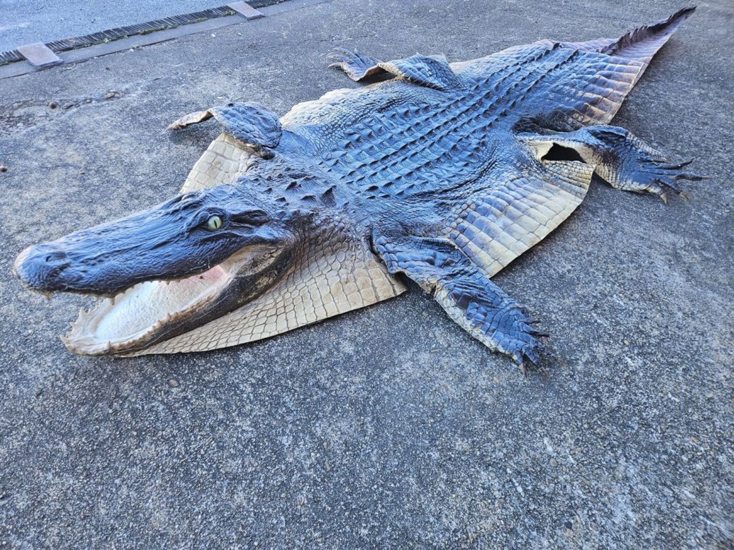 Image for SUCCESS: $37,099 — Record-Breaking Multi-Estate Auction for Local Consignor