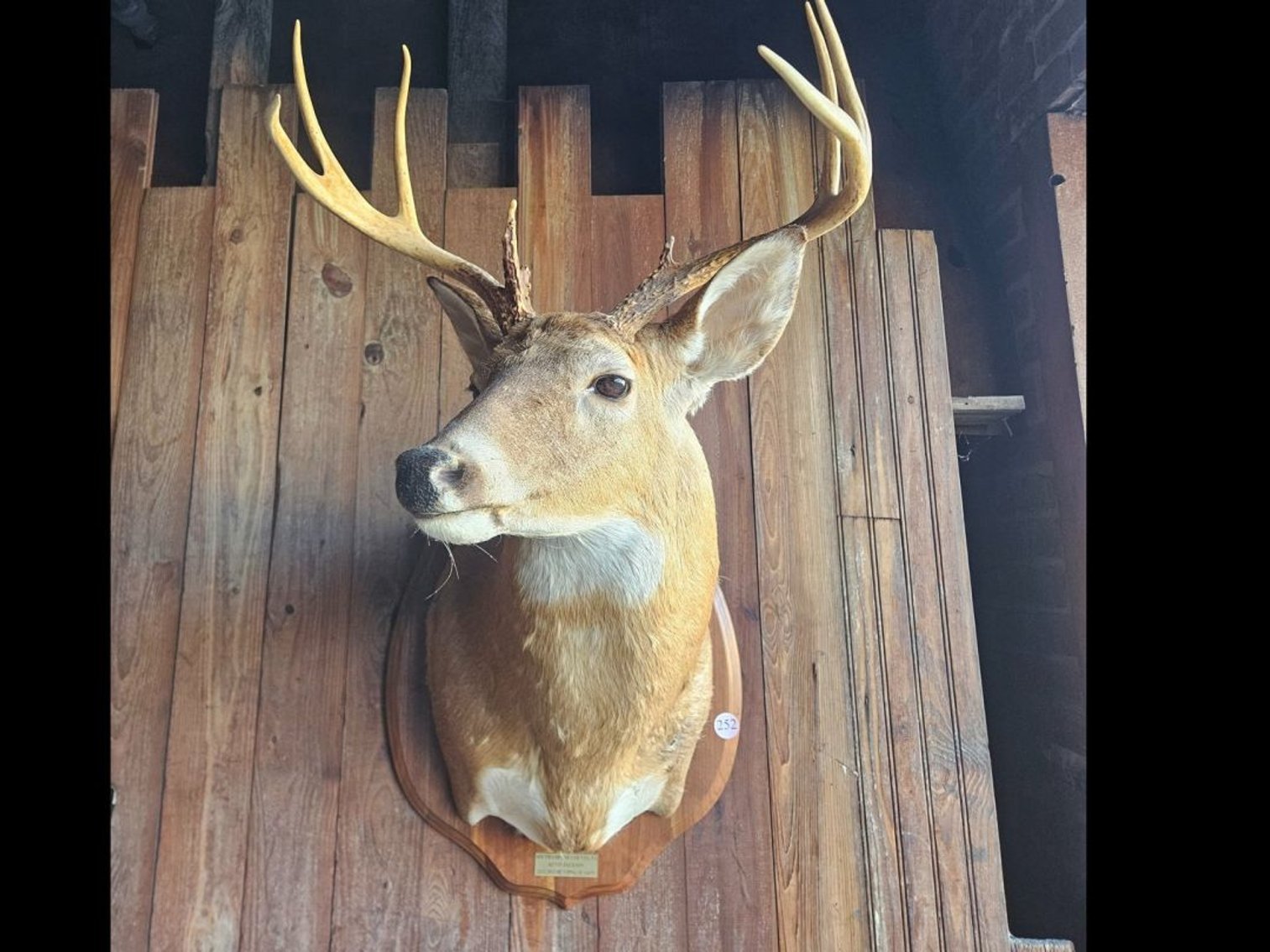 Image for SUCCESS: $37,099 — Record-Breaking Multi-Estate Auction for Local Consignor