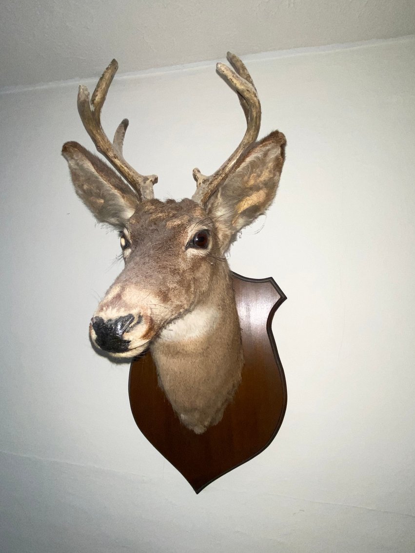 Image for Shinnston, WV – Tools, Hardware, Cookware, Furniture, and more!