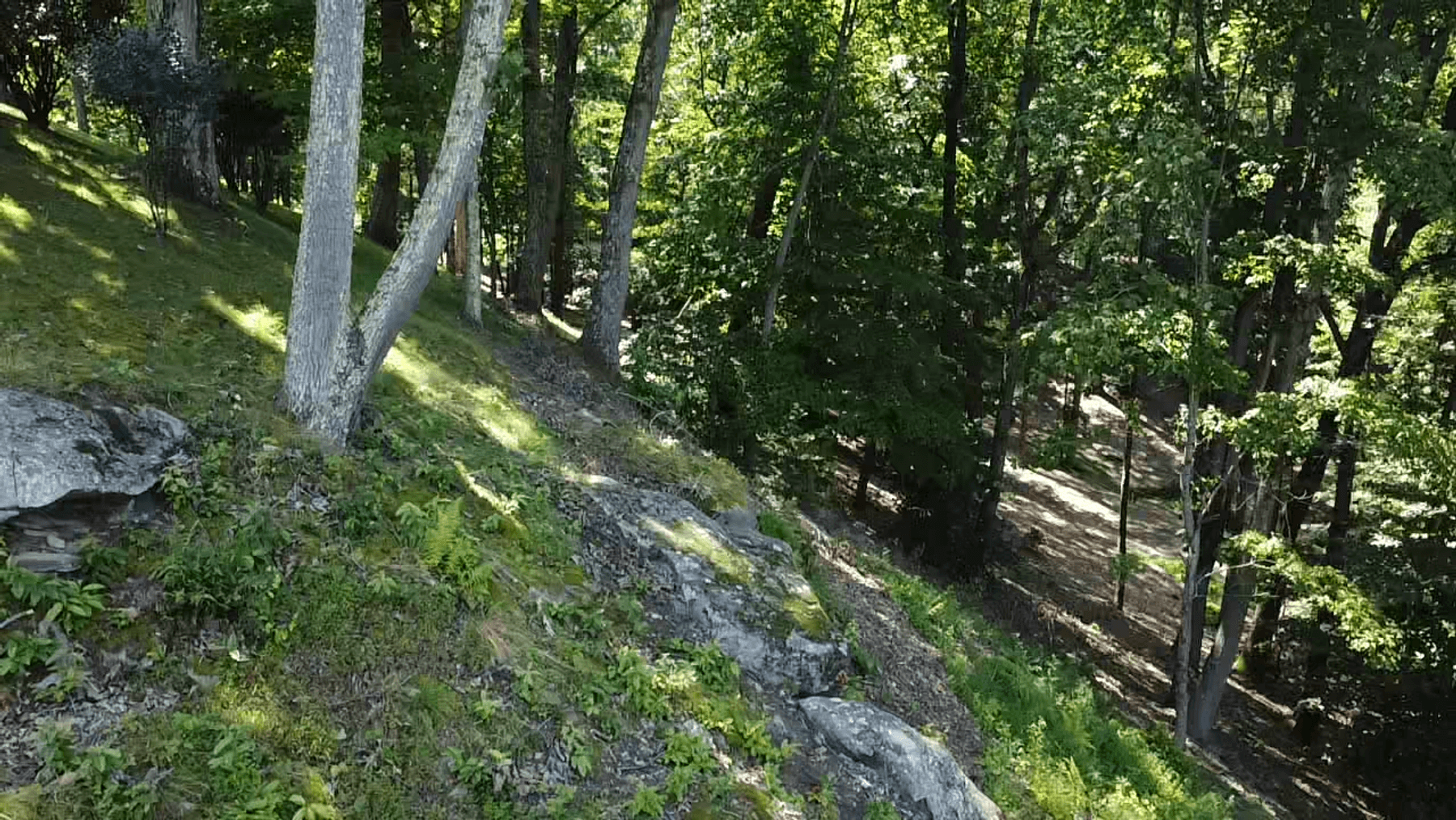 Image for SOLD $1,255,000 - 4 Bedroom Colonial Style Home