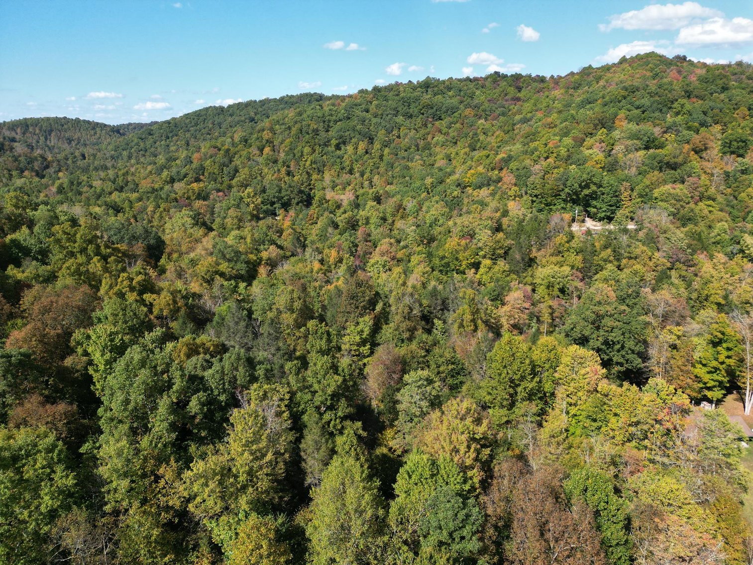 Image for SOLD $528,000 - Luxurious Cabin on 57 Acres in Upshur County