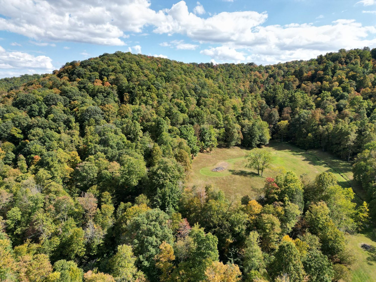 Image for SOLD $528,000 - Luxurious Cabin on 57 Acres in Upshur County