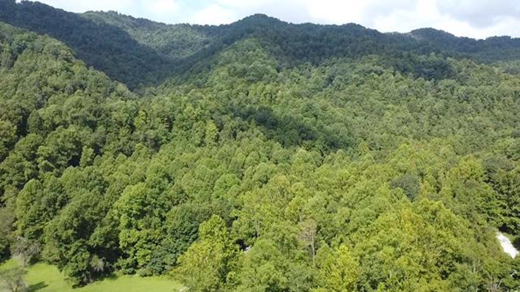 Image for SOLD $132,000 - 121 Acres in Wyoming County Selling to the Highest Bidder