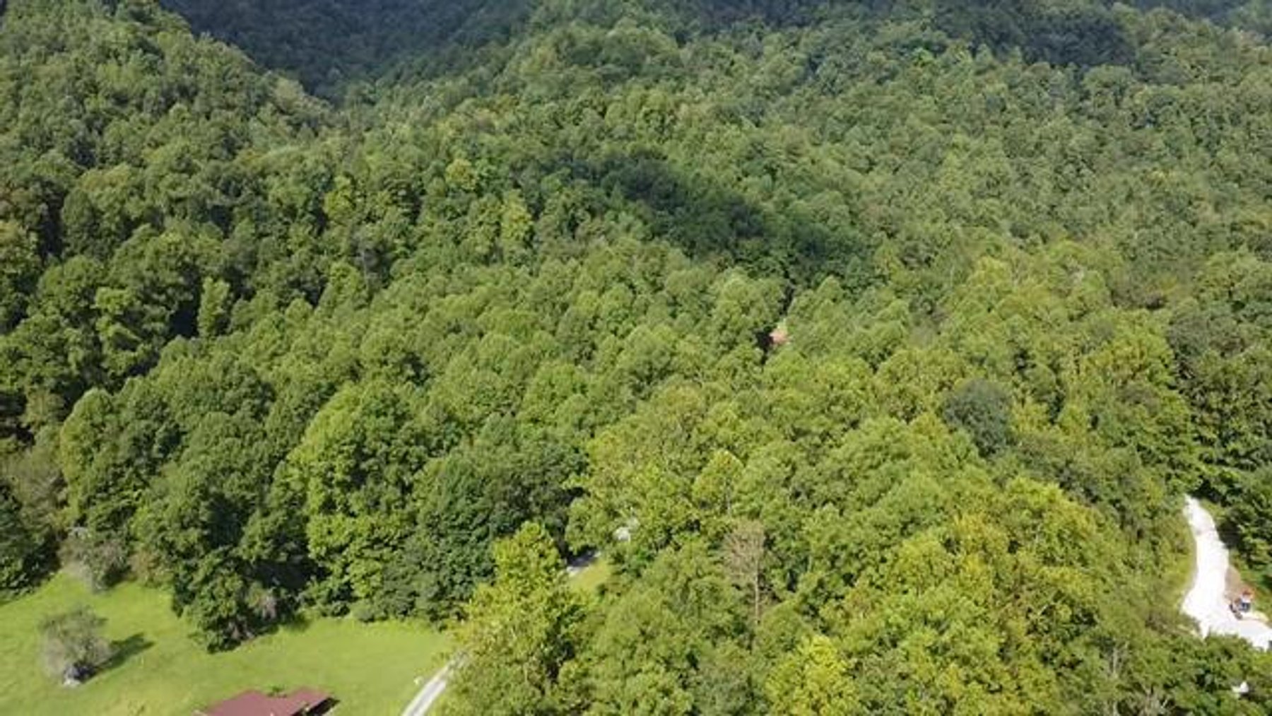 Image for SOLD $132,000 - 121 Acres in Wyoming County Selling to the Highest Bidder