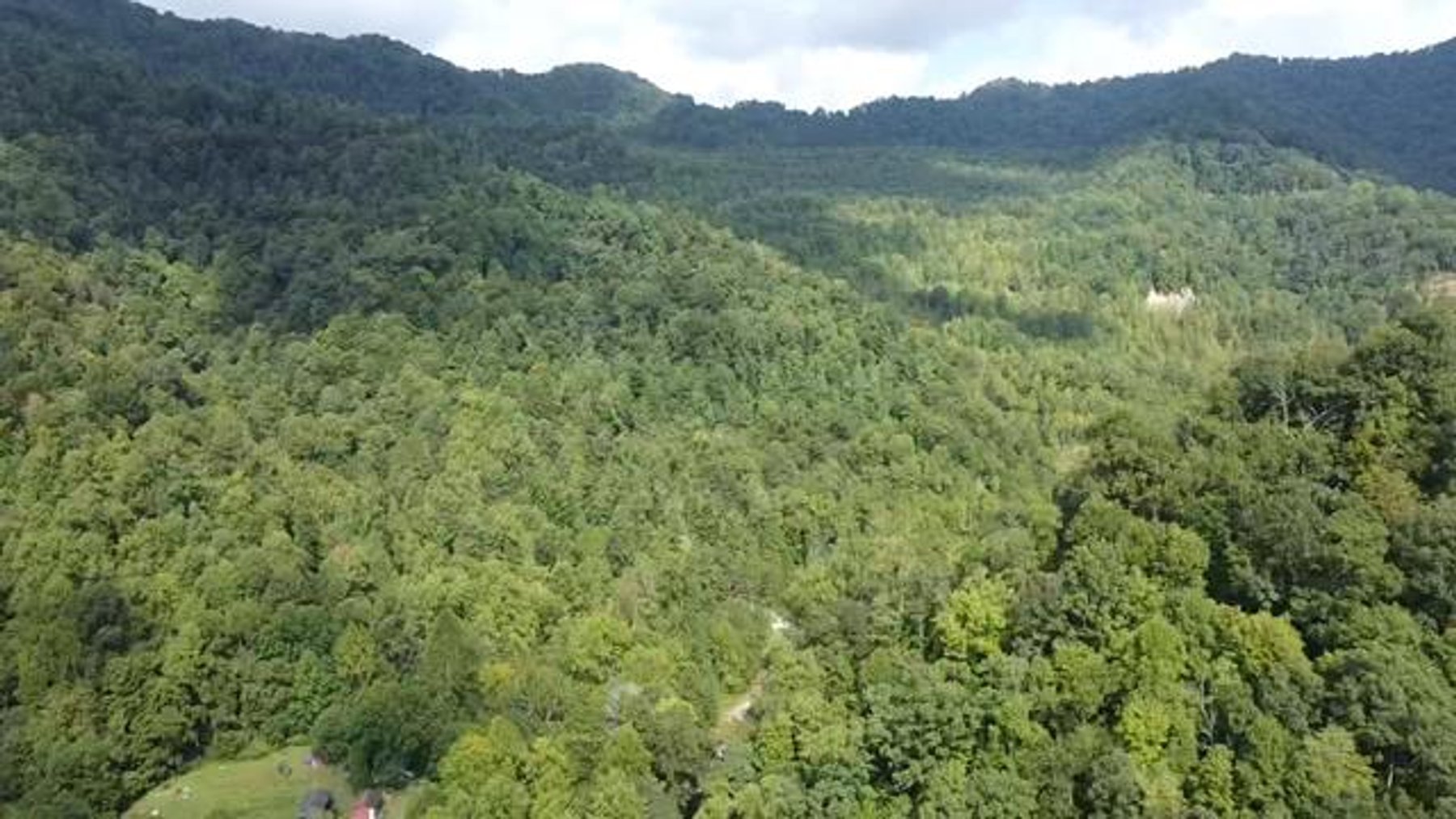 Image for SOLD $132,000 - 121 Acres in Wyoming County Selling to the Highest Bidder