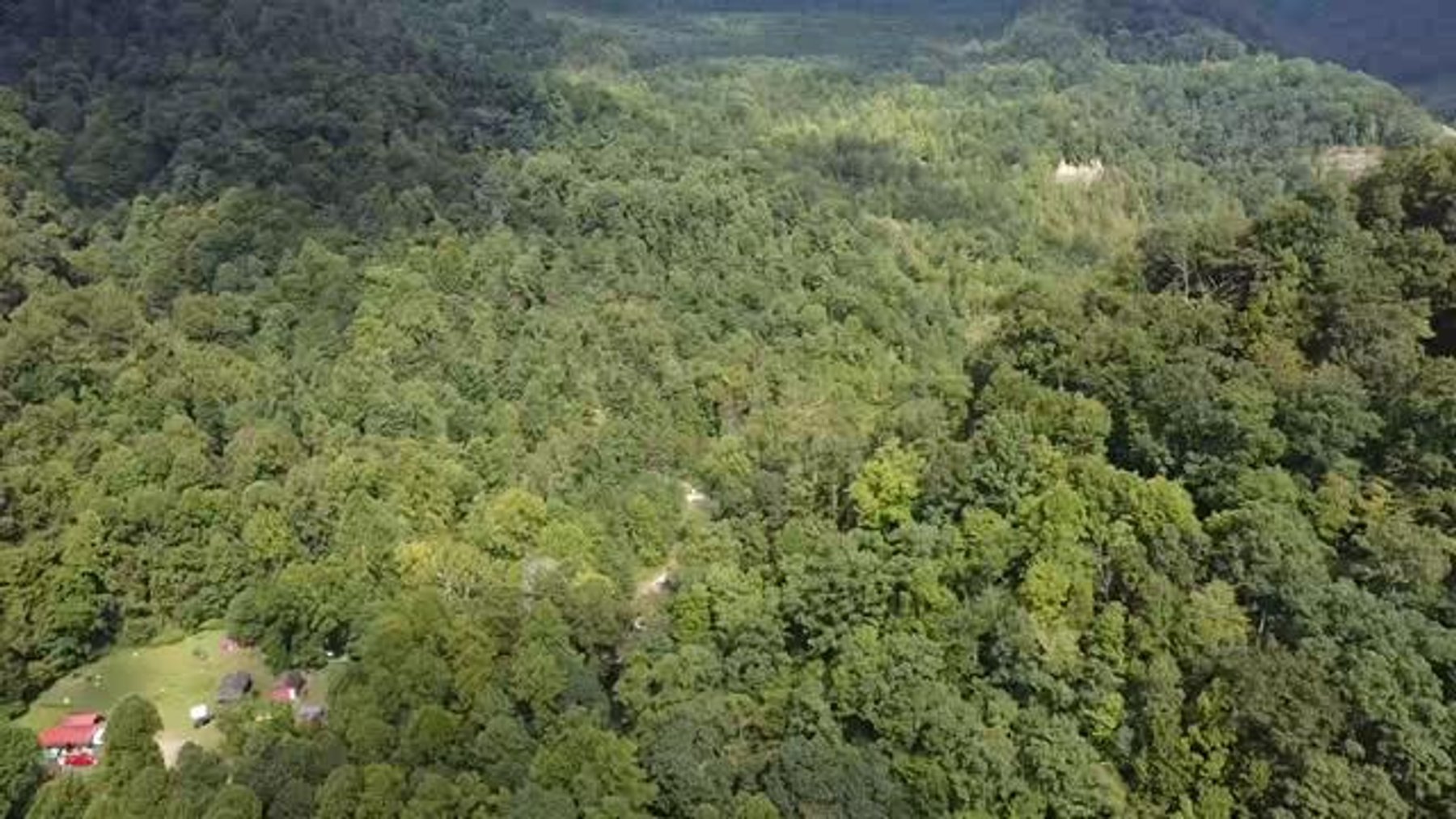 Image for SOLD $132,000 - 121 Acres in Wyoming County Selling to the Highest Bidder