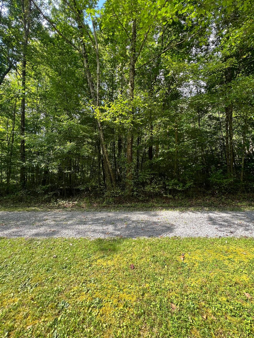 Image for SOLD $132,000 - 121 Acres in Wyoming County Selling to the Highest Bidder