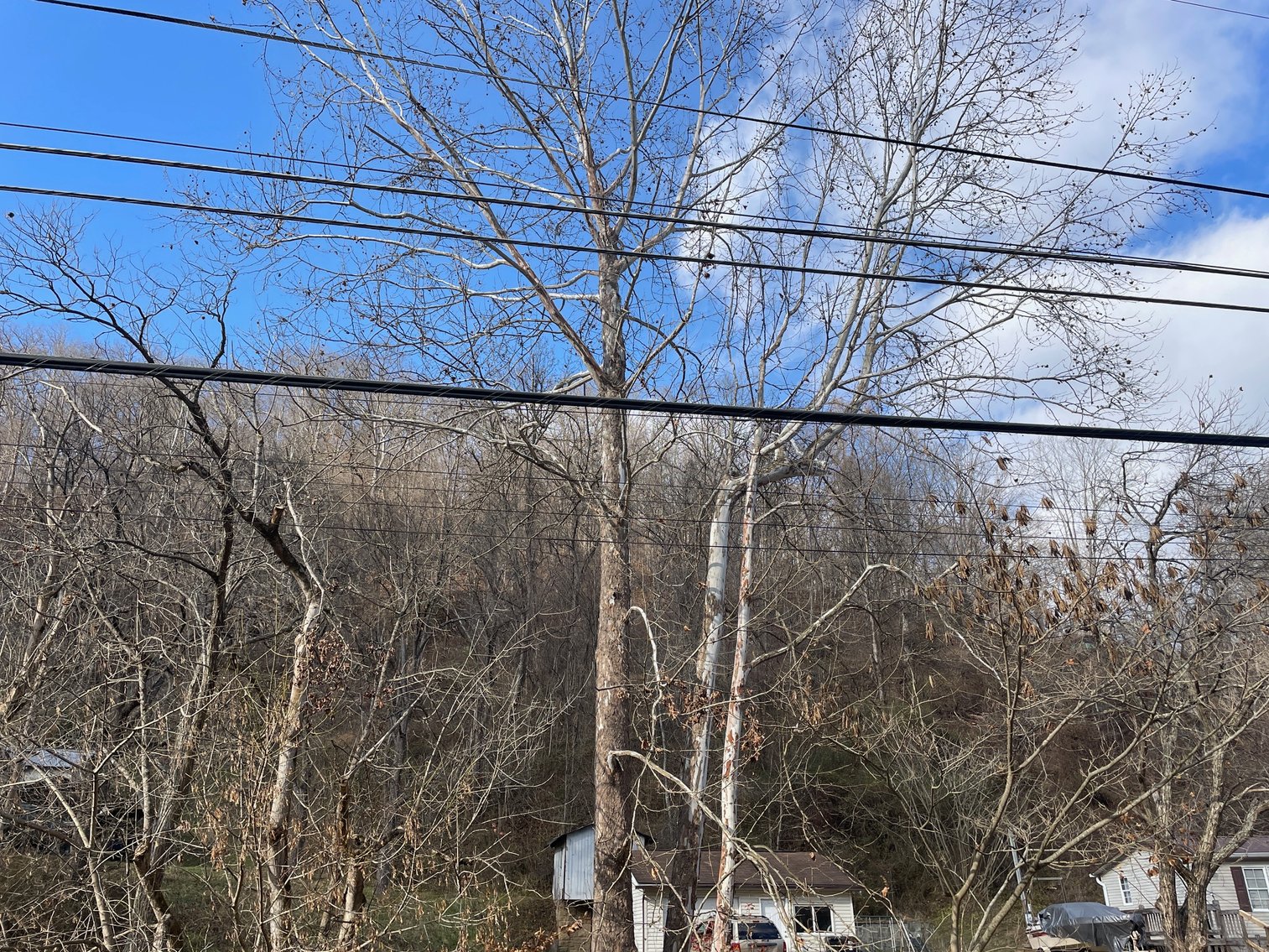 Image for SOLD $11,000 - 12 Surveyed Acres on Deer Valley Road