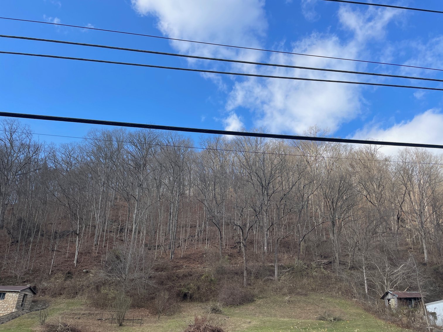 Image for SOLD $11,000 - 12 Surveyed Acres on Deer Valley Road