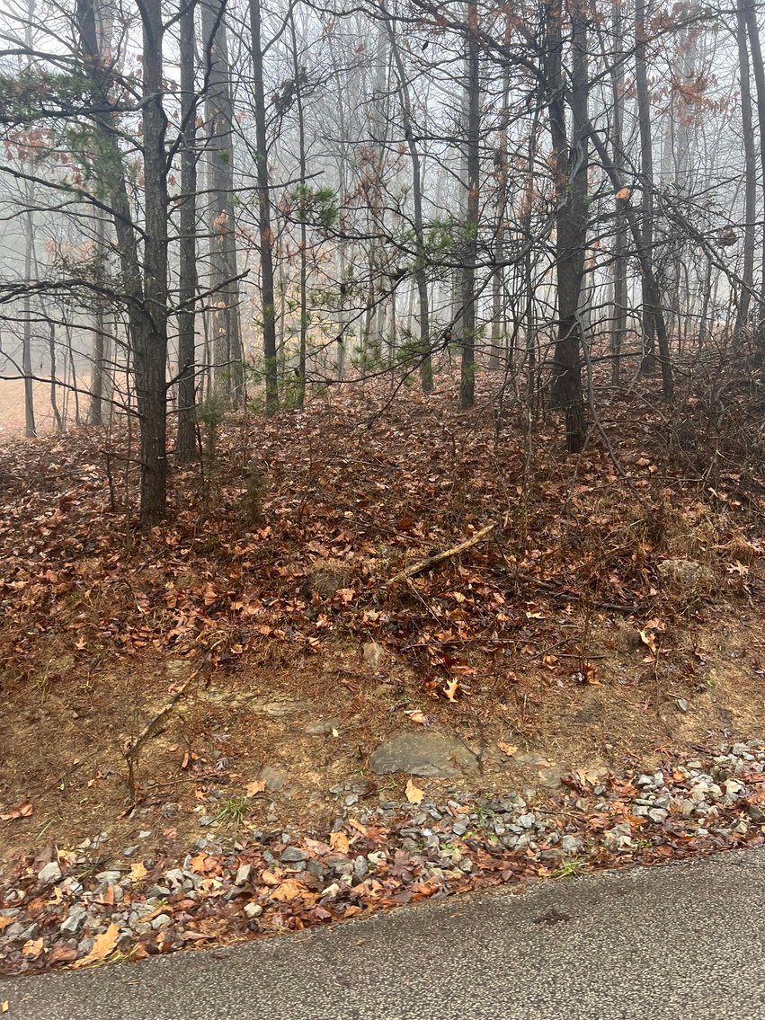 Image for SOLD - 4 Lots in Putnam County Selling to the Highest Bidders