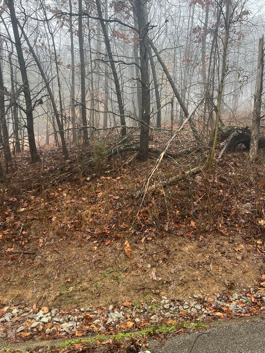 Image for SOLD - 4 Lots in Putnam County Selling to the Highest Bidders