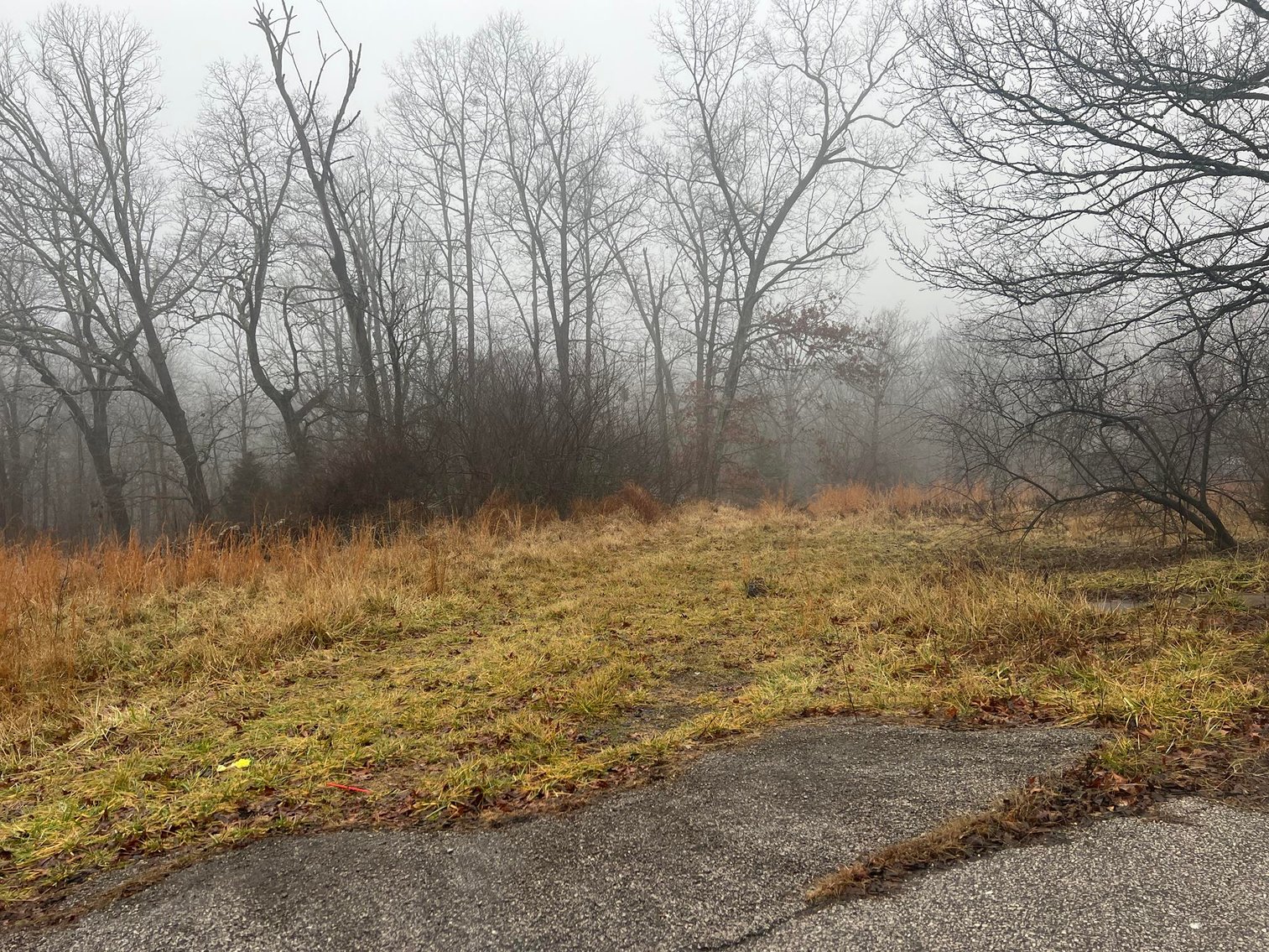 Image for SOLD - 4 Lots in Putnam County Selling to the Highest Bidders