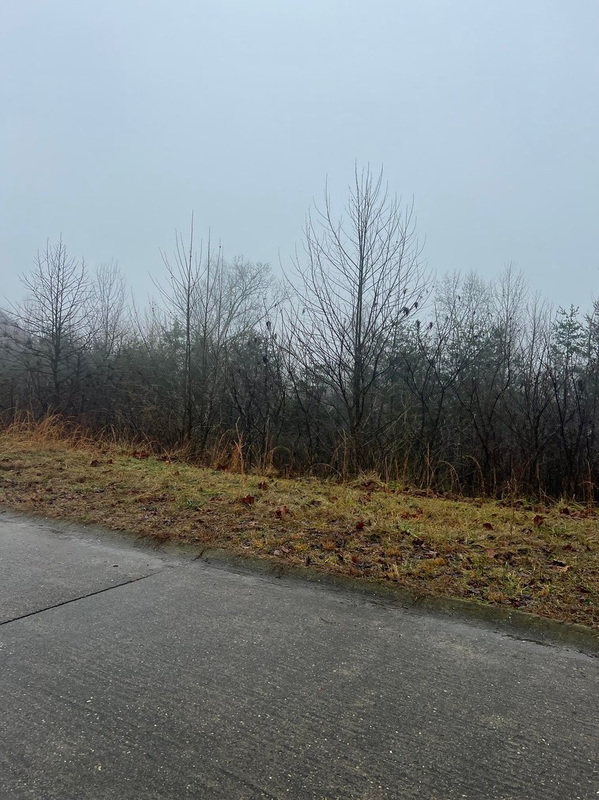 Image for SOLD - 4 Lots in Putnam County Selling to the Highest Bidders