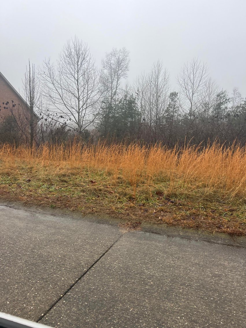 Image for SOLD - 4 Lots in Putnam County Selling to the Highest Bidders