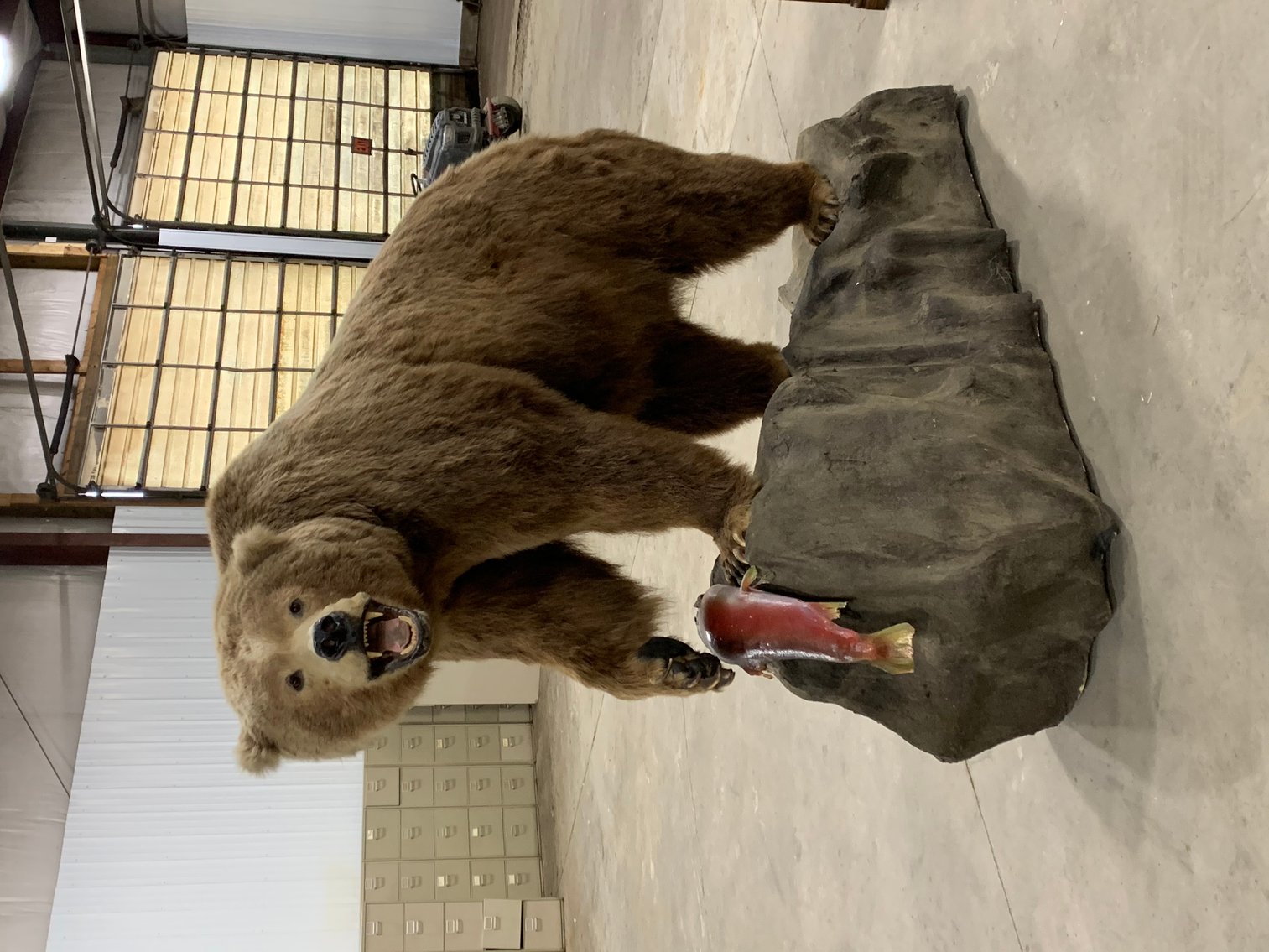 Image for Winter 2024 Guns, Knives, Taxidermy Auction