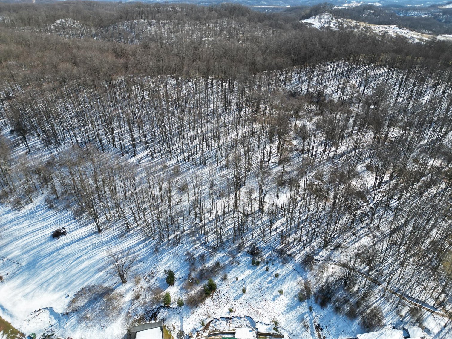 Image for SOLD $96,250 - 4 Bedroom on 4 Acres in Buckhannon