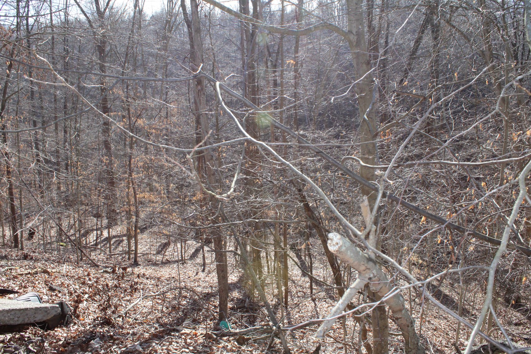 Image for SOLD $199,100 - Over 50 Acres in Winfield Selling to Highest Bidders