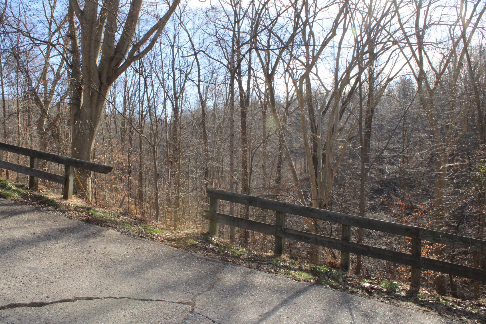 Image for SOLD $199,100 - Over 50 Acres in Winfield Selling to Highest Bidders