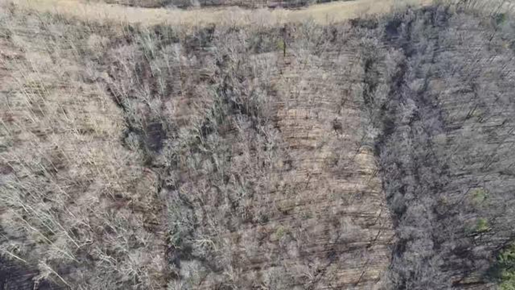 Image for SOLD $199,100 - Over 50 Acres in Winfield Selling to Highest Bidders