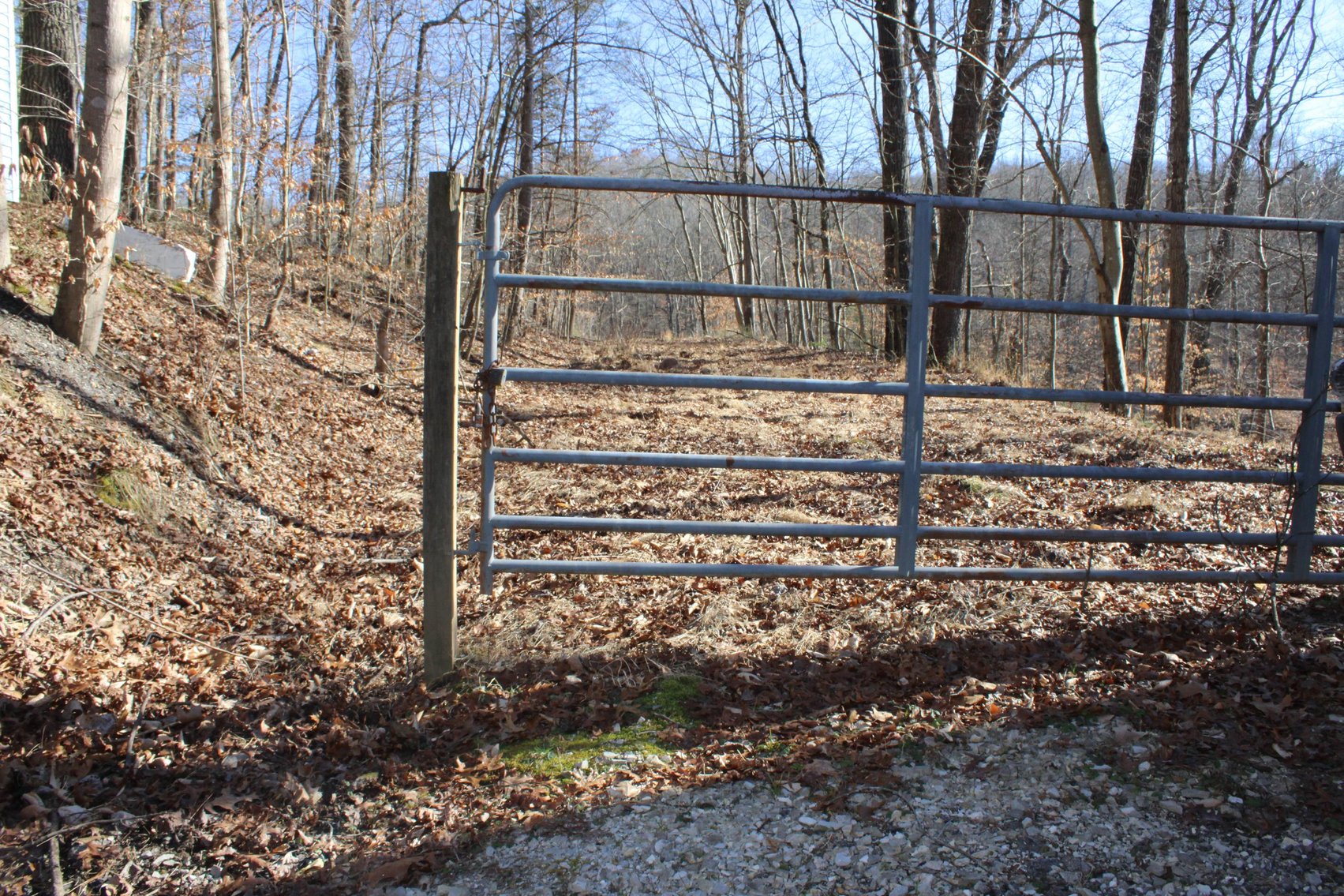 Image for SOLD $199,100 - Over 50 Acres in Winfield Selling to Highest Bidders