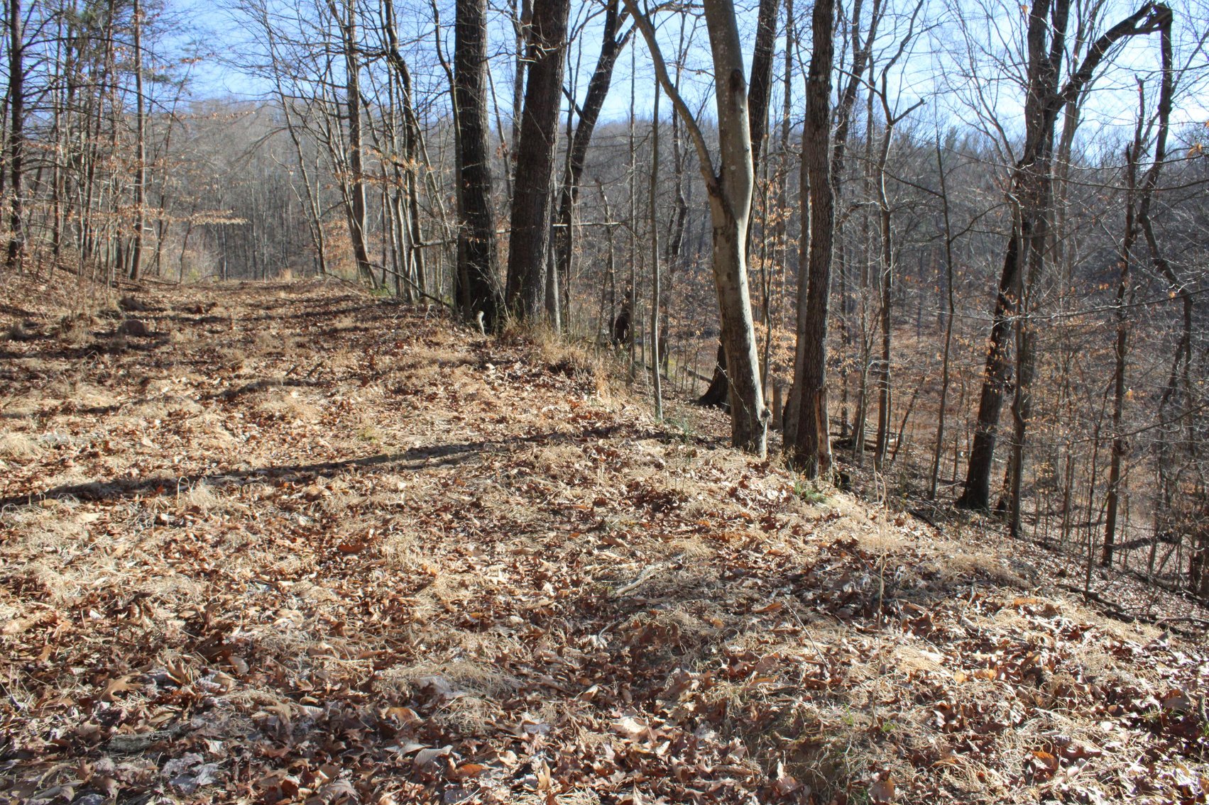 Image for SOLD $199,100 - Over 50 Acres in Winfield Selling to Highest Bidders