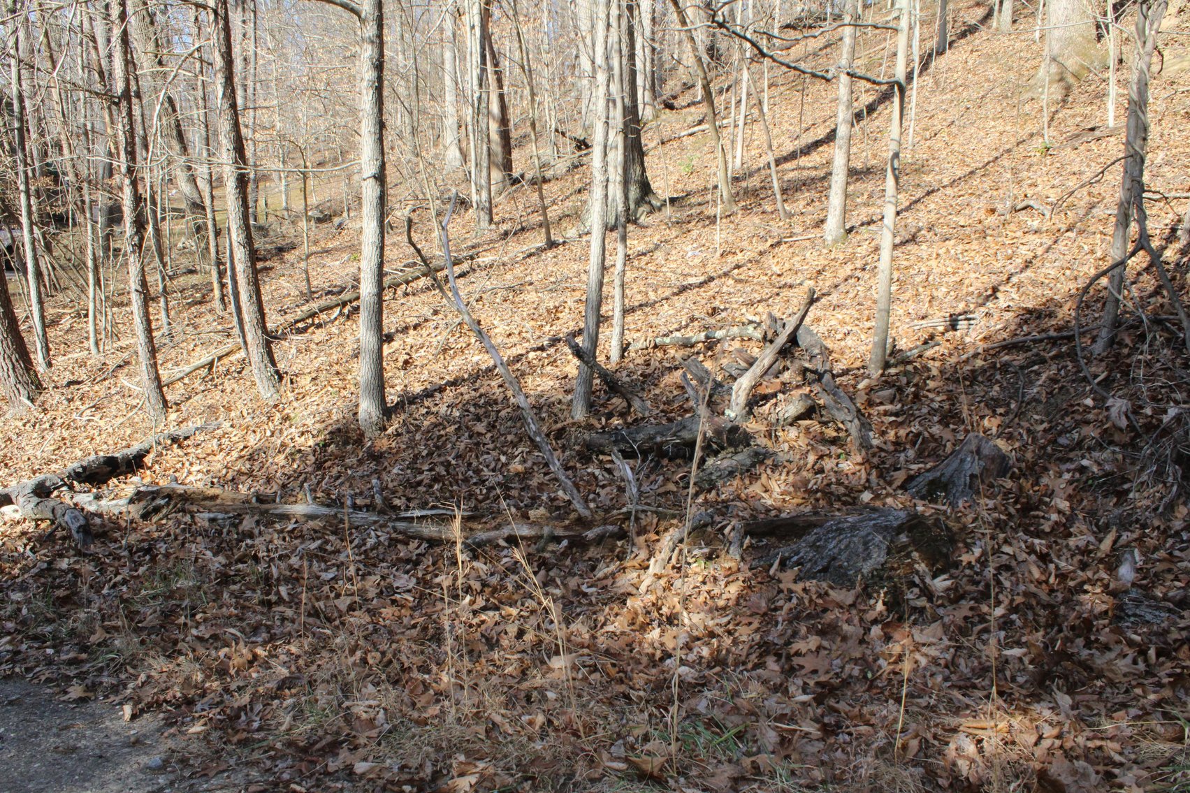 Image for SOLD $199,100 - Over 50 Acres in Winfield Selling to Highest Bidders