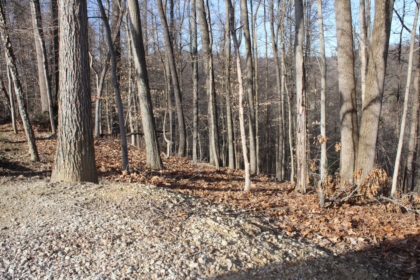 Image for SOLD $199,100 - Over 50 Acres in Winfield Selling to Highest Bidders