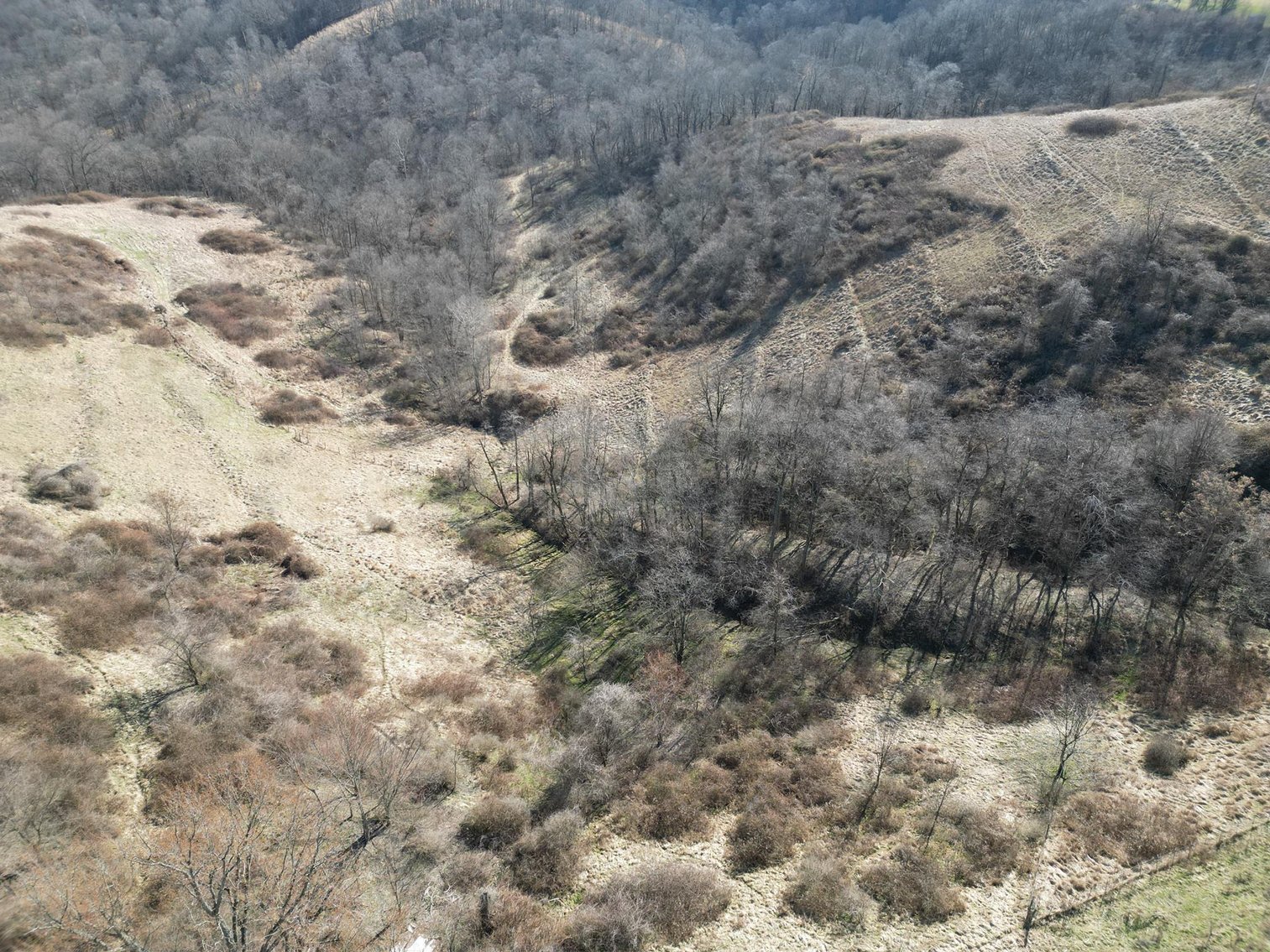 Image for SOLD $220,000 - 81 Acres in Marshall County