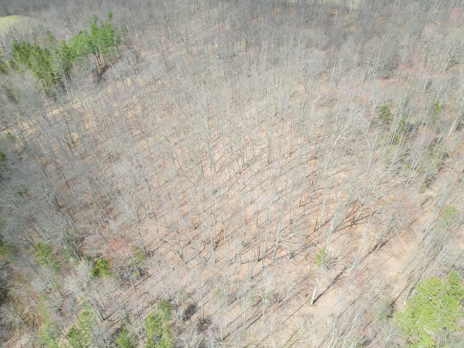 Image for SOLD $345,000 - 4 Bedroom Home with Shop on 9.4 Acres