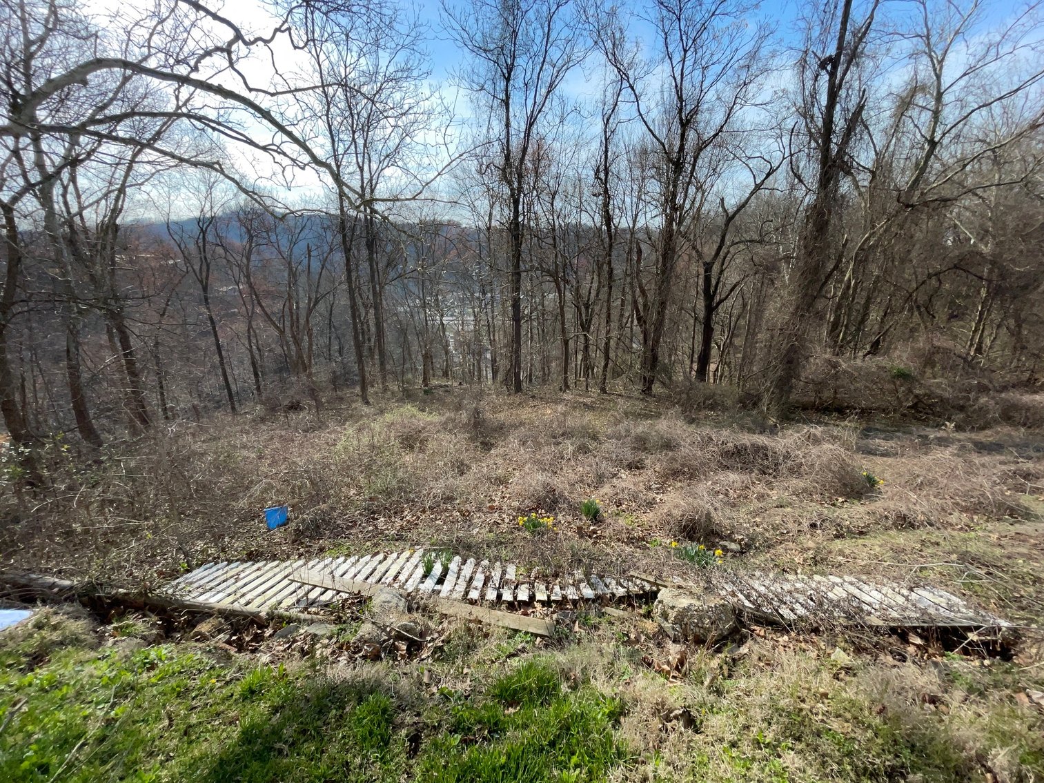 Image for SOLD $75,900 - Updated 3 Bedroom in Charleston