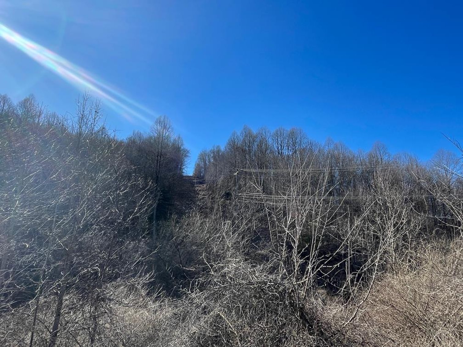 Image for SOLD $100,100 - 68 Acres with Timber Adjacent to Salem University